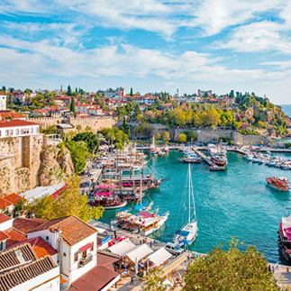 turkey